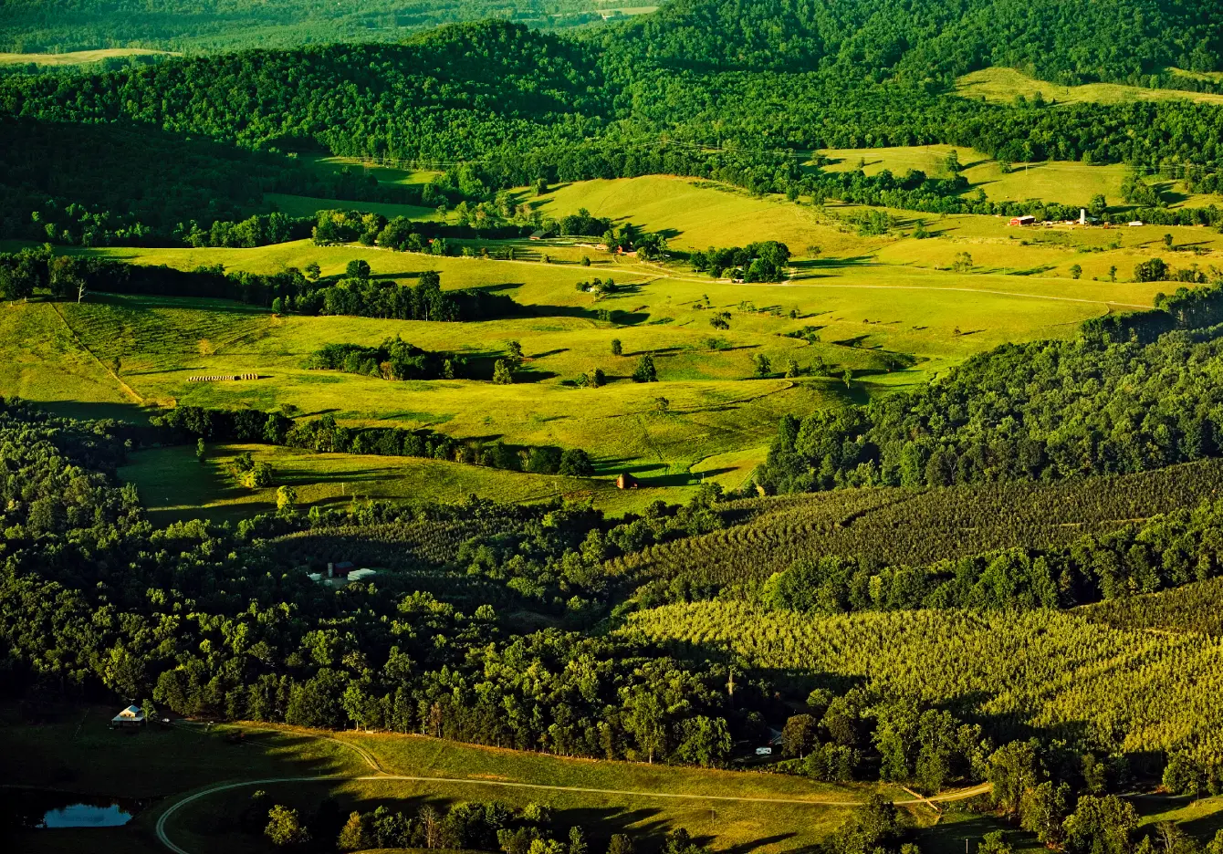 agriculture-rolling-hills