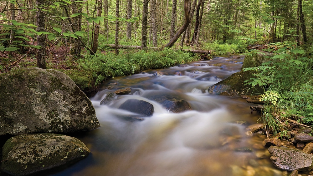 Clear Springs